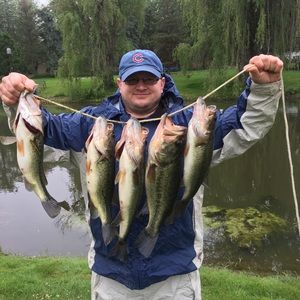 Meet your Posher, Doug